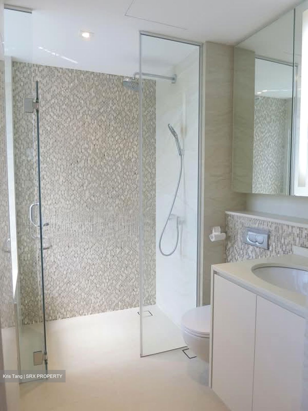 8@Woodleigh (D13), Condominium #574271651